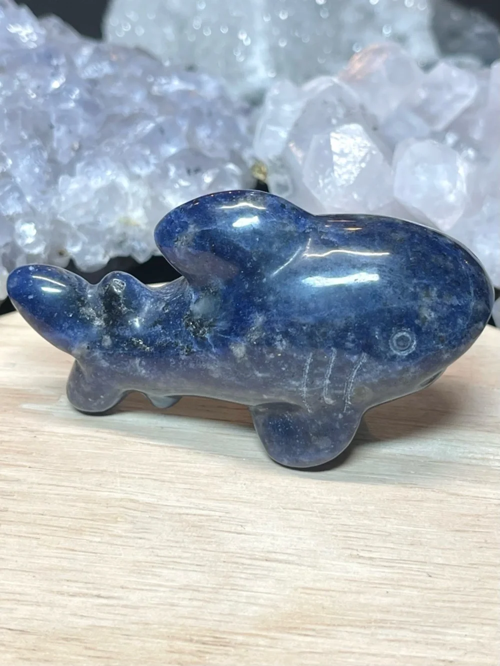 🌑Sodalite Polished Crystal Shark Animal Carving🌑